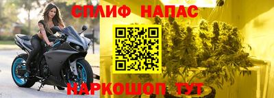 МДПВ Беслан